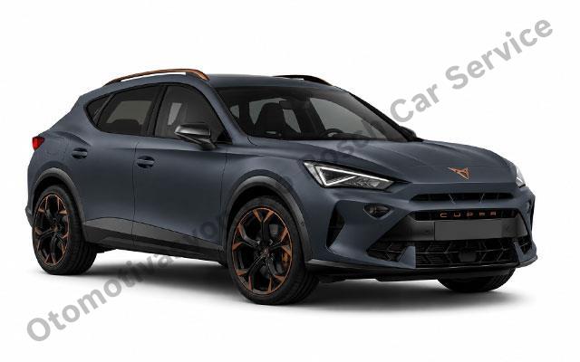 Cupra Servisi