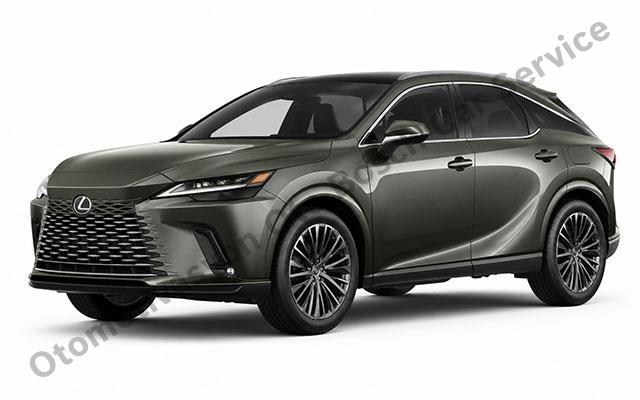 Lexus Servisi